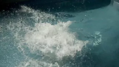 Naughty Lesbians Julia Roca And Maria Riot Share Glass Dildo Poolside